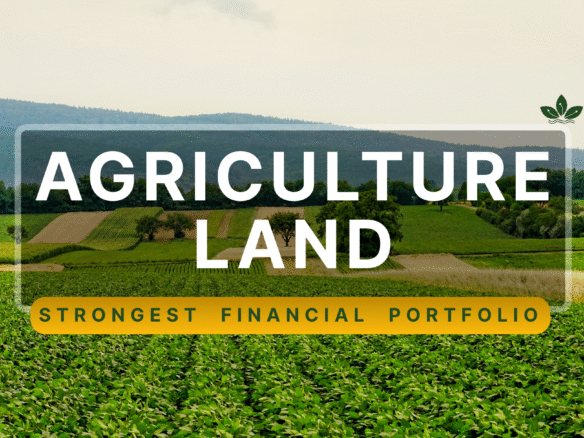 Agricultural Land for sale